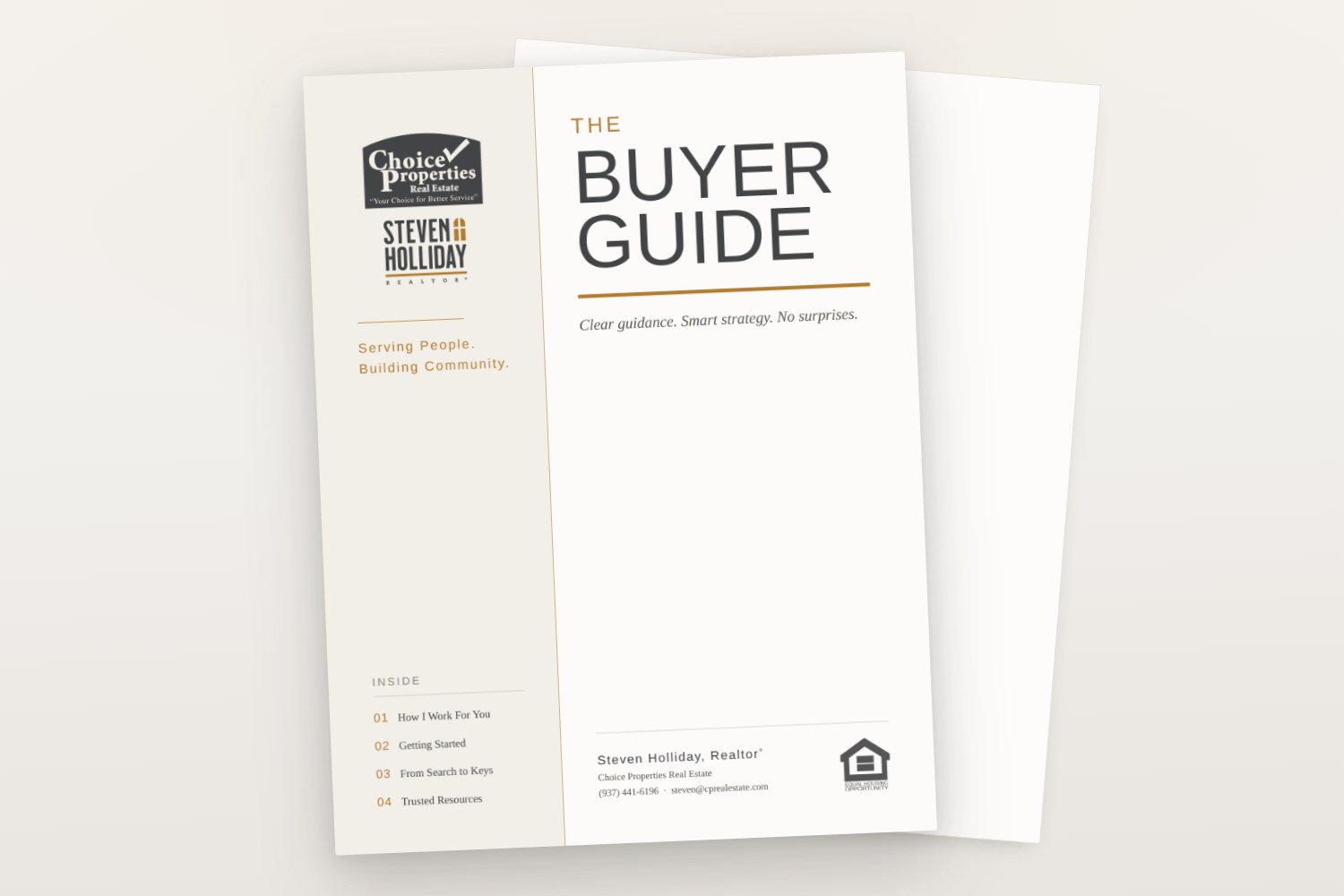 Cover of Steven Holliday's buyer guide